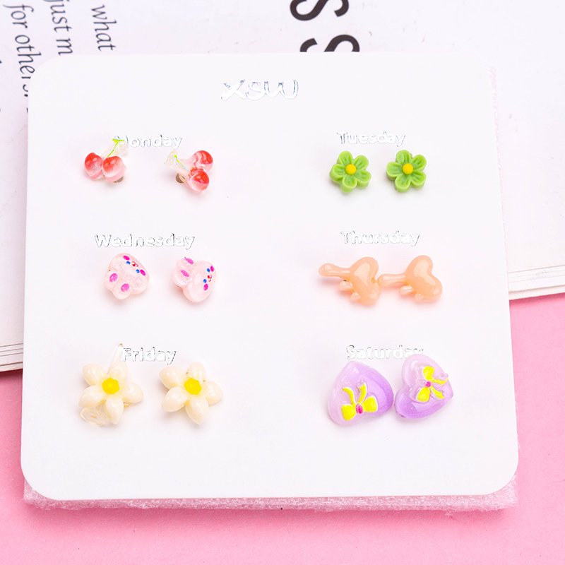 6 Pair Resin Ear Stud