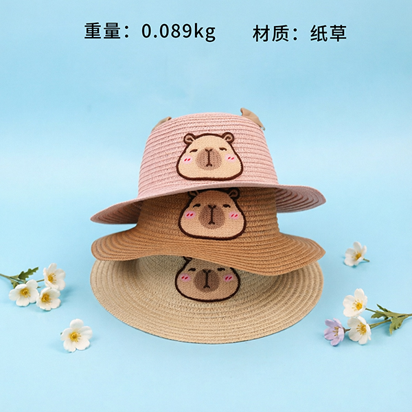 Cute Capybara Children's Woven Hat