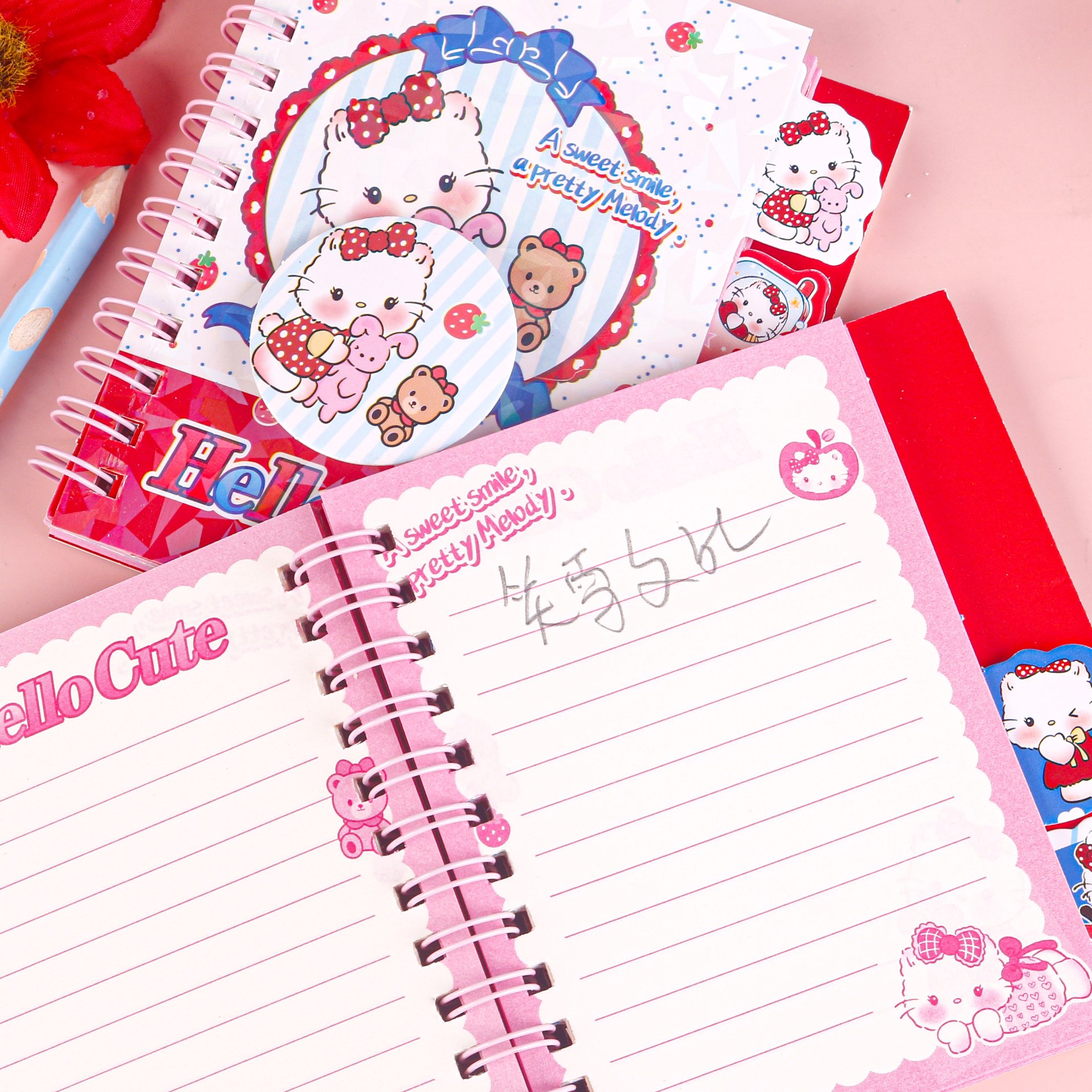 Cute Cat Spiral Notebook