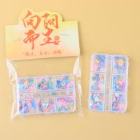 YMY-六格闪粉亮片 3