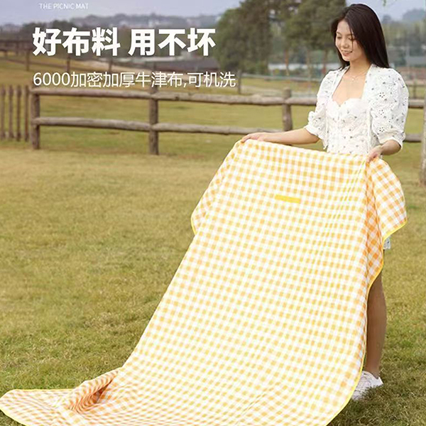 PVC Picnic Mat 200x200cm