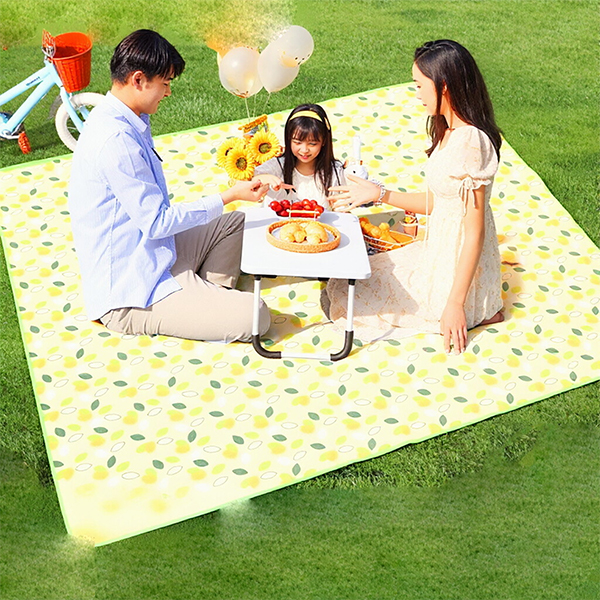 PVC Picnic Mat 200x200cm