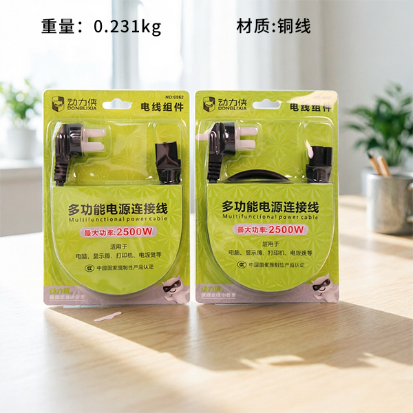 2500W Power Cord