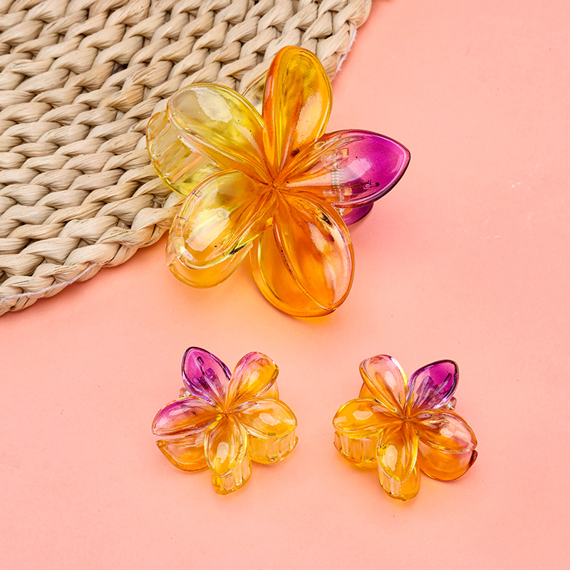Colorful Plumeria Small and Medium Hair Claw Clip Set PS 4012000360
