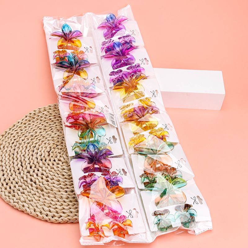 Colorful Plumeria Small and Medium Hair Claw Clip Set PS 4012000360