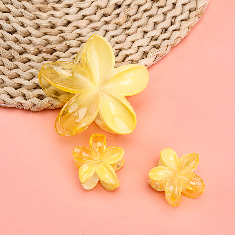 Jelly Color Medium Hair Claw Clip