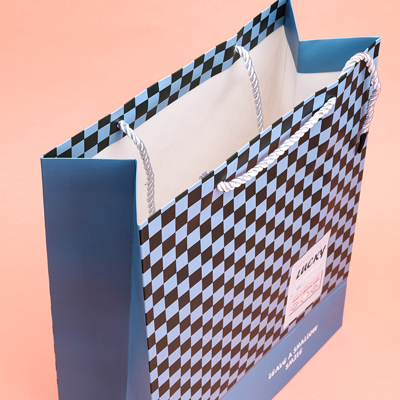 26 X 12 Cm Gift Bag 4040400319