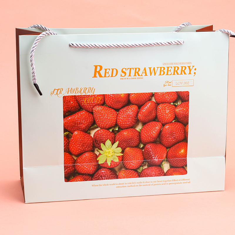 32 X 11 Cm Gift Bag 4040400320