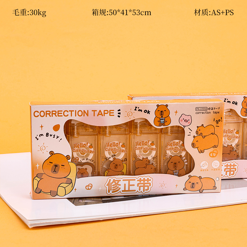 6 Piece Correction Tape