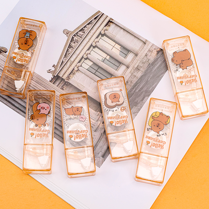 6 Piece Correction Tape