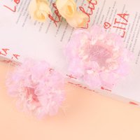HH流苏网纱肠圈 3