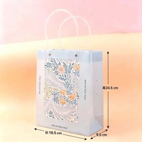 XBK-5923竖版透明手提袋 5