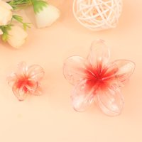 SY细粉鸡蛋花二件套 4